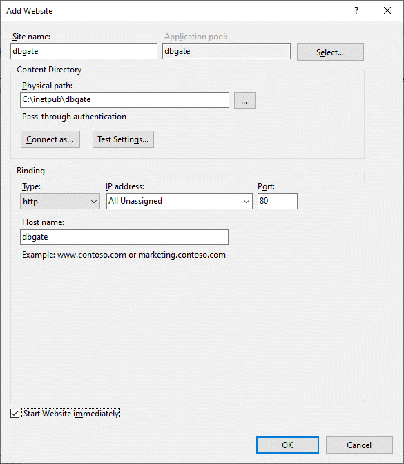 Установка DBGate на Windows - Создание веб-сайта