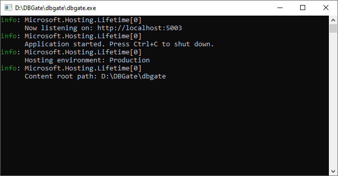 Консольное приложение DBGate в Windows